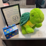 stuffed animal turtle sitting on a counter